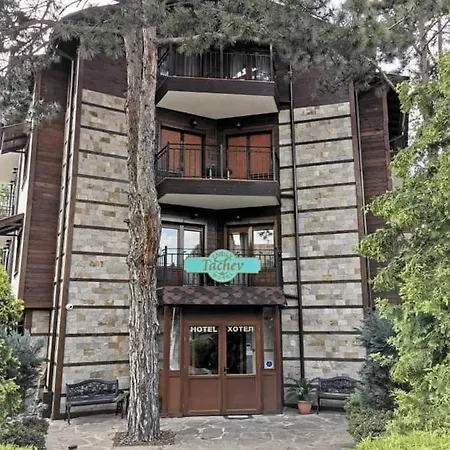 Hotel Hotel Tachev *